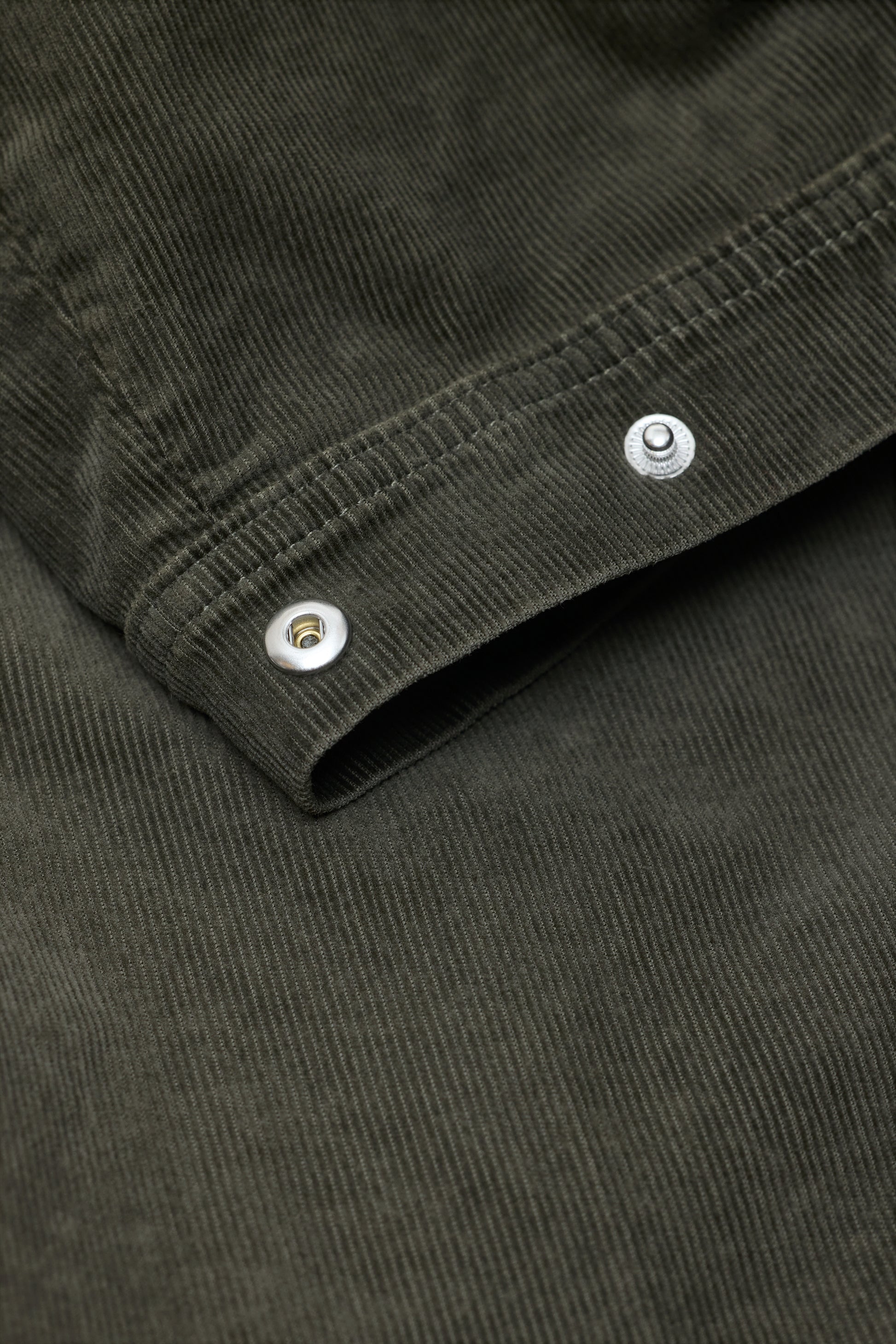 Closed Rhannon Barrel Pant in Cypress Green
