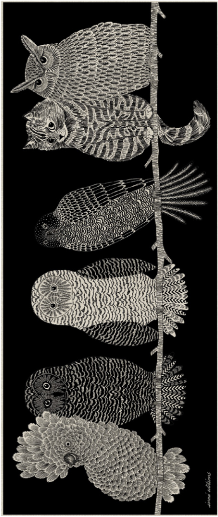 Black and white illustration of birds on a branch
