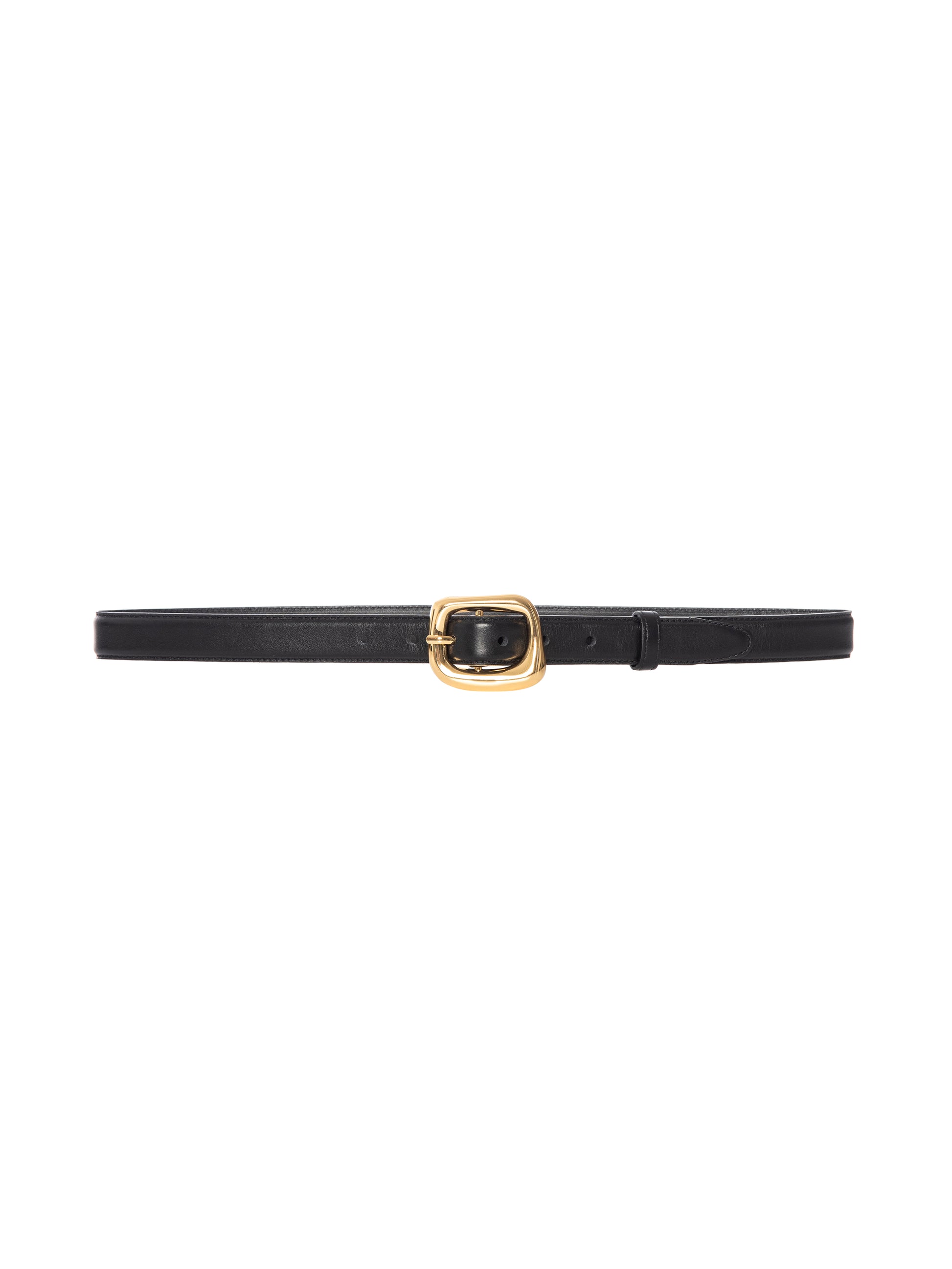 Black belt with a gold buckle on a white background