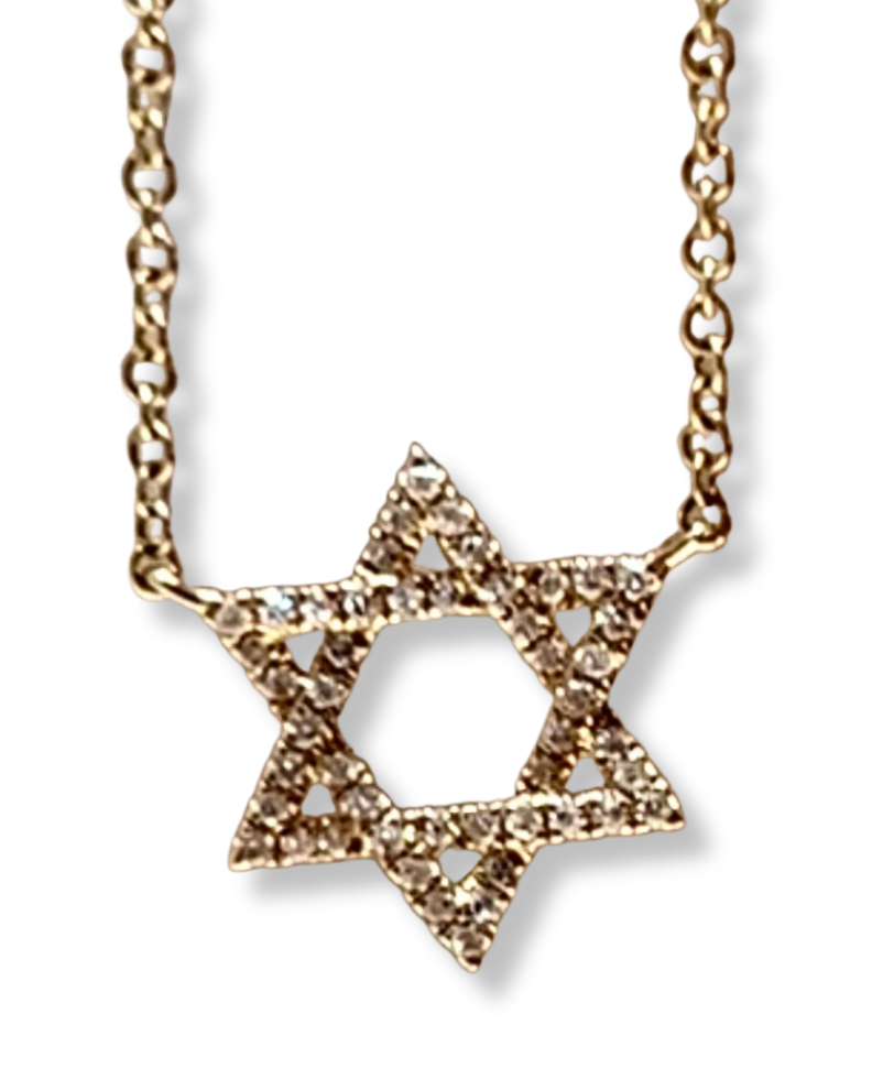 Pade Vavra 14K Gold Star of David in Diamond