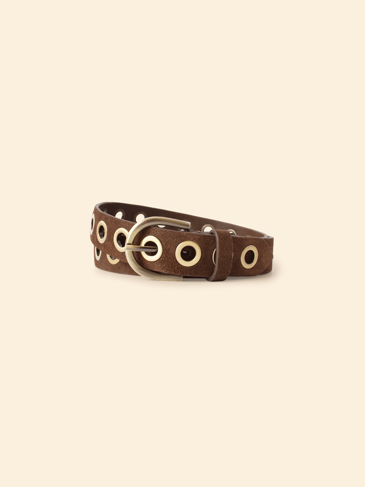 XiRENA Francoise Belt in Espresso