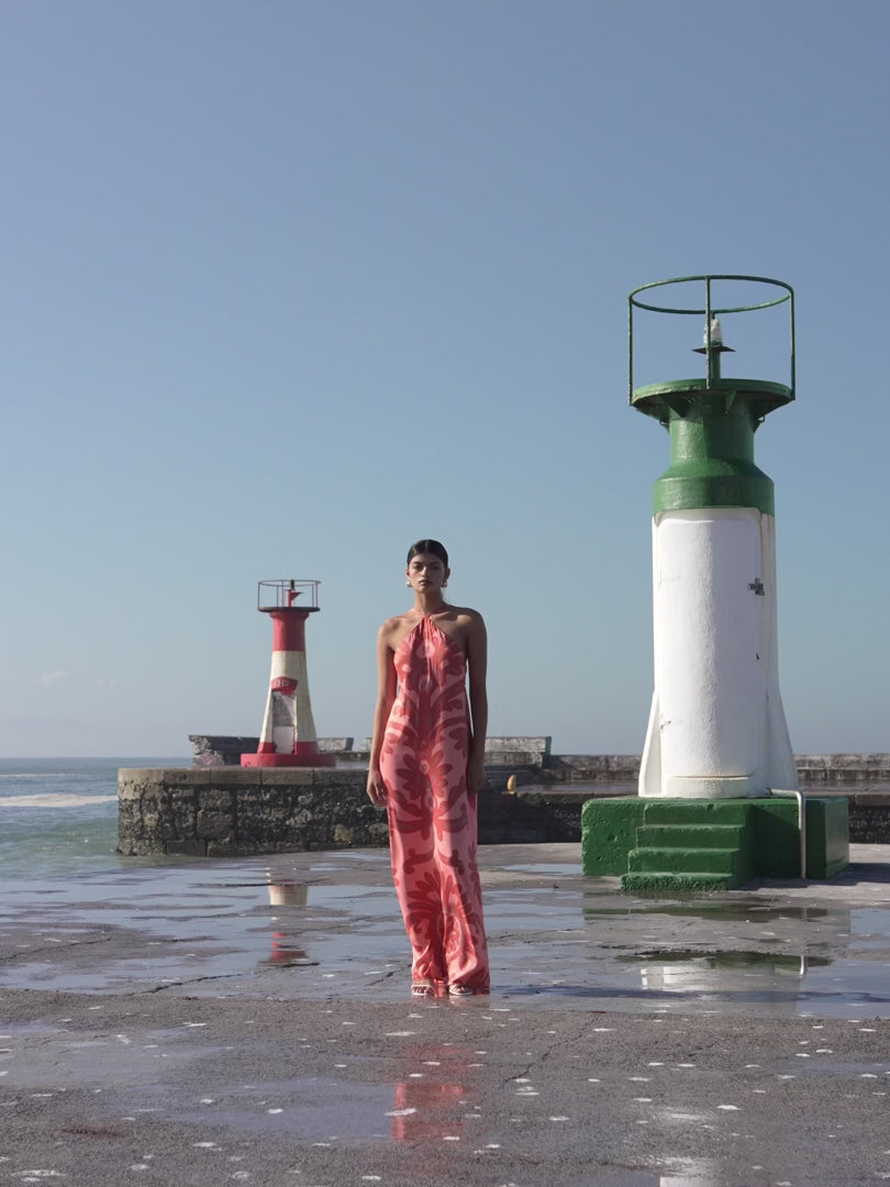 DIARRABLU Aria Dress in Elia Rose